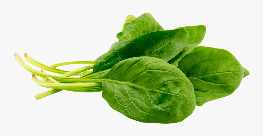 Spinach, HD Png Download, Free Download