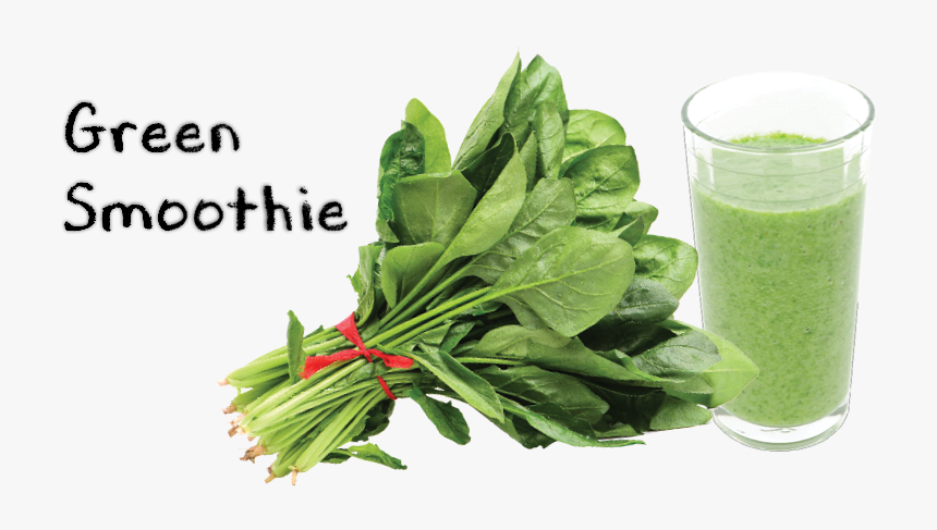 Spinach Leaf Png, Transparent Png, Free Download