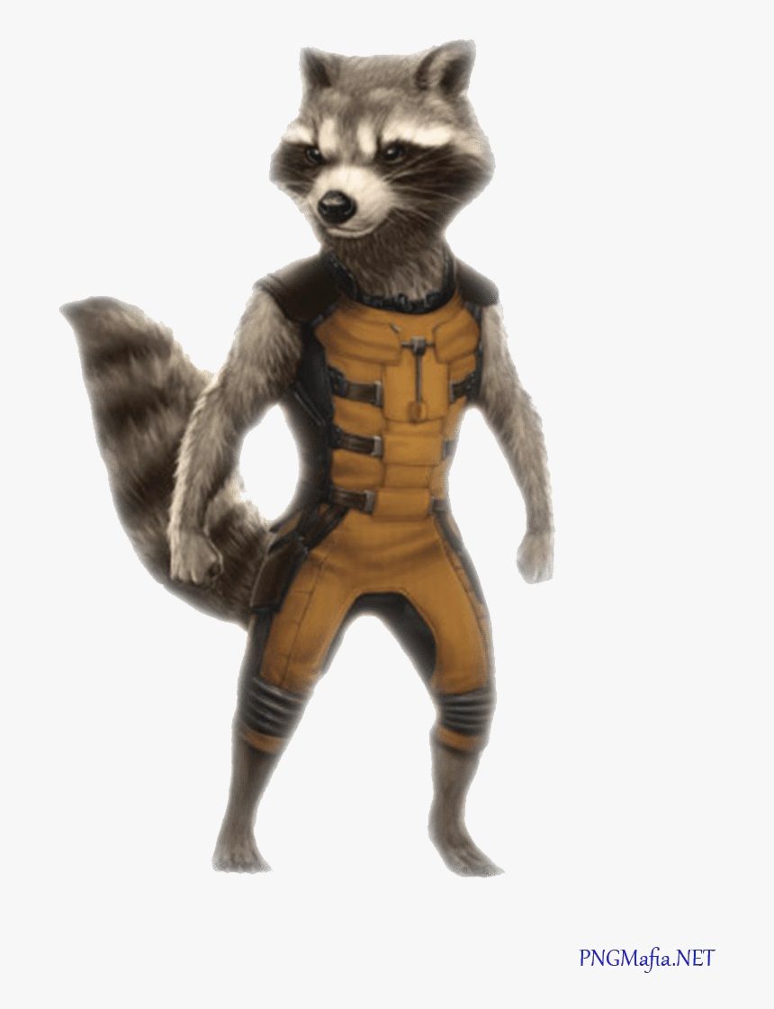 Rocket Raccoon Png Free Download, Transparent Png, Free Download