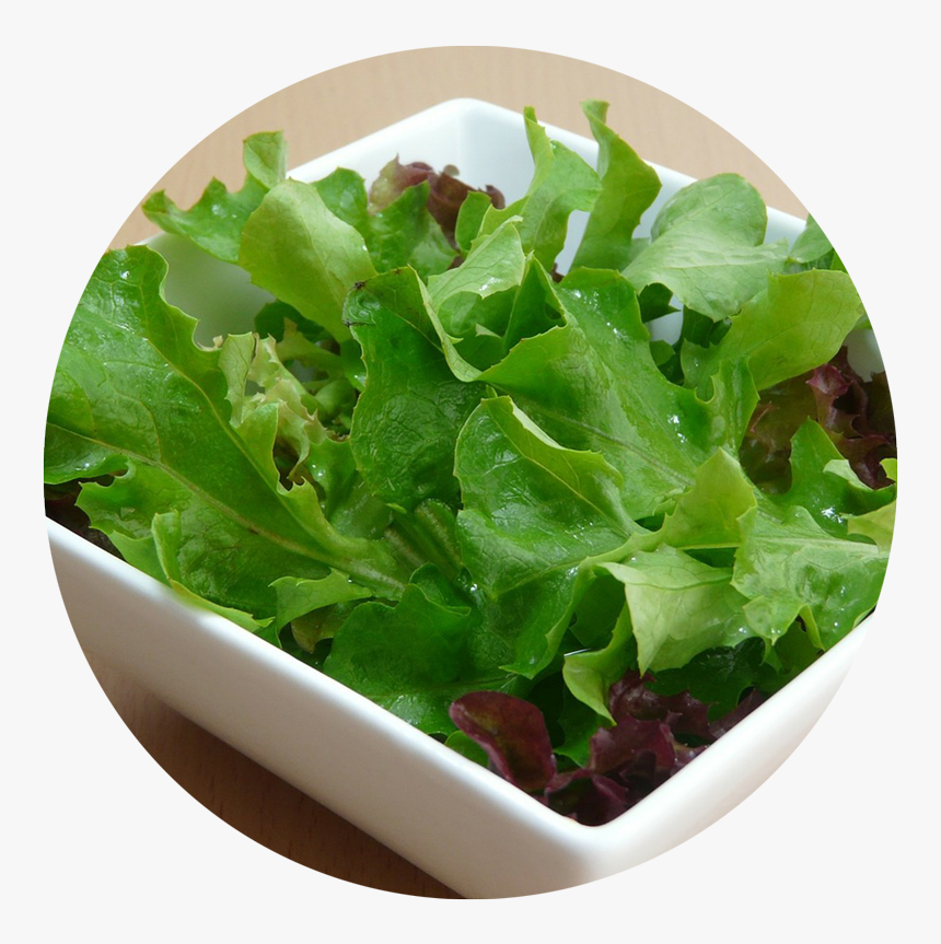 Spinach Leaf Png, Transparent Png, Free Download