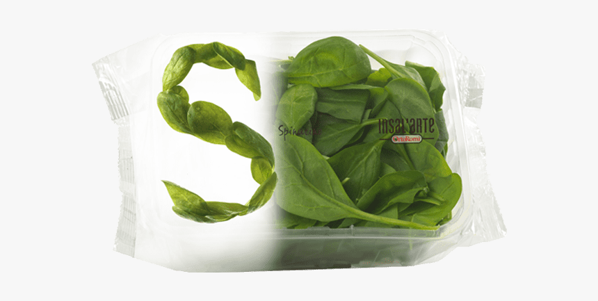 Spinach Leaf Png, Transparent Png, Free Download