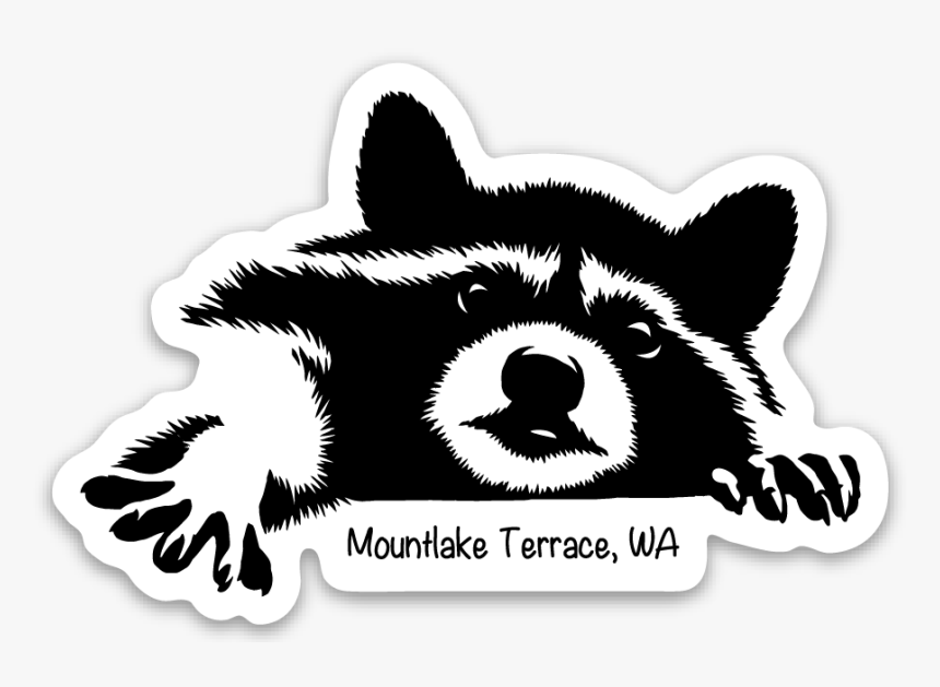 Racoon Clipart Black And White, HD Png Download, Free Download