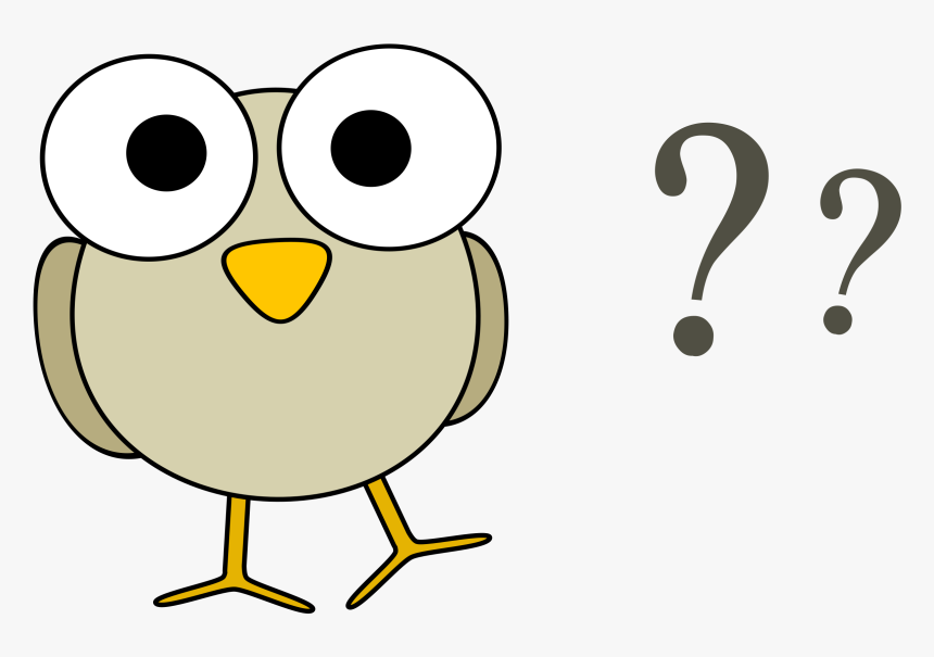 Grey Bird With Question Marks Clip Arts - Owl With Question Mark, HD Png Download, Free Download