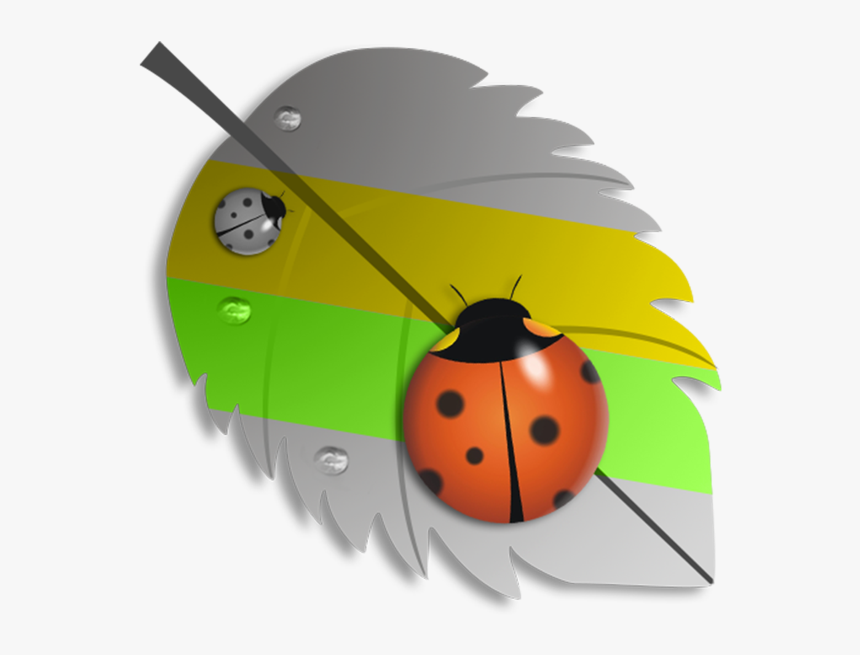 Transparent Splash Effect Png - Ladybug, Png Download, Free Download
