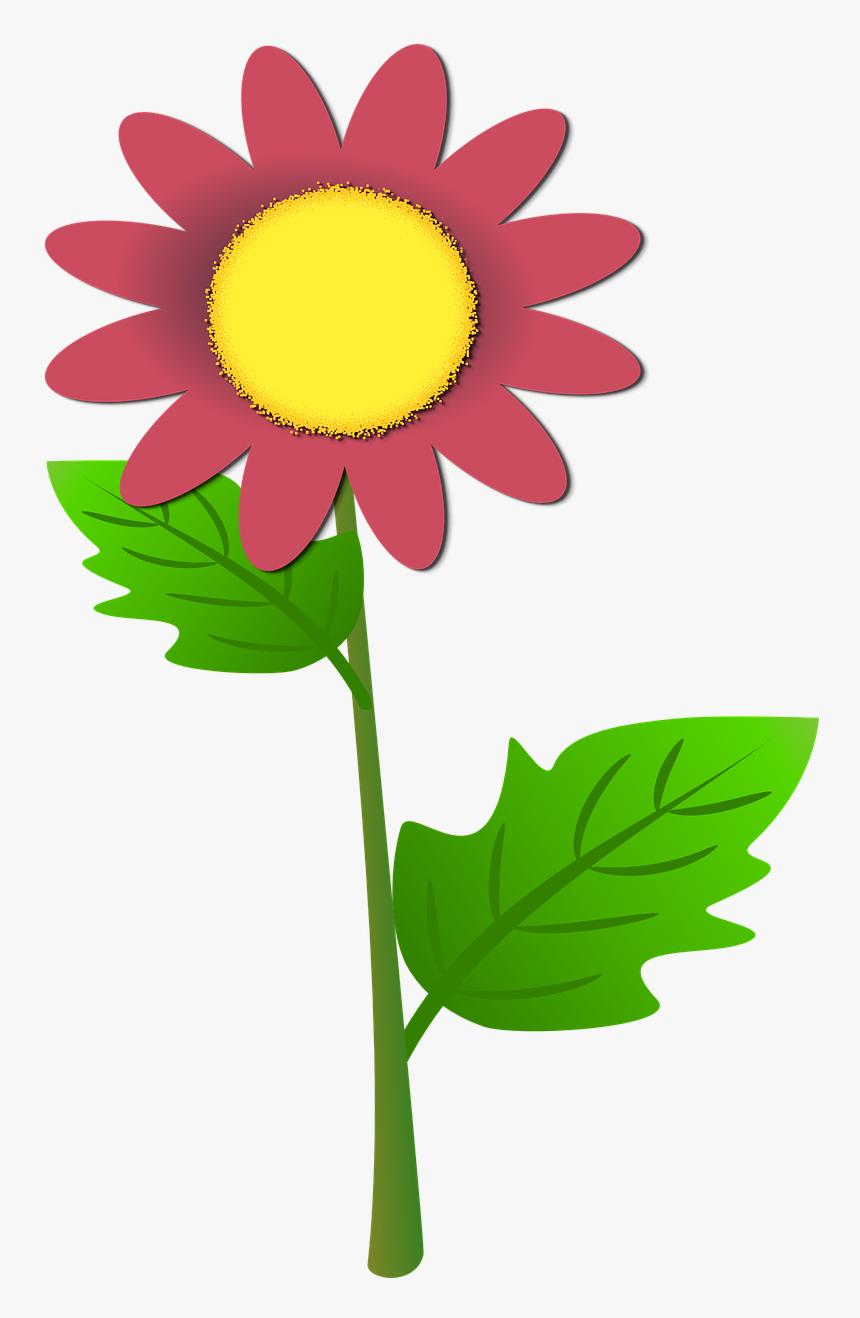 Ilustrasi Bunga Matahari