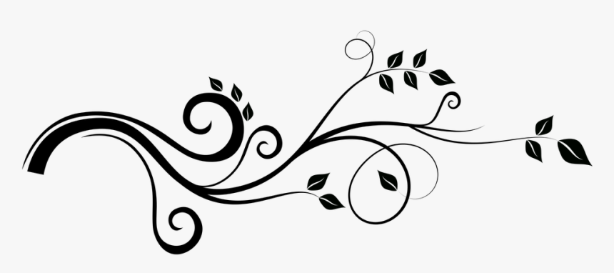 Enredadera, Rama, Hojas, Naturaleza, Adorno, Primavera - Enredadera Png Vector, Transparent Png, Free Download