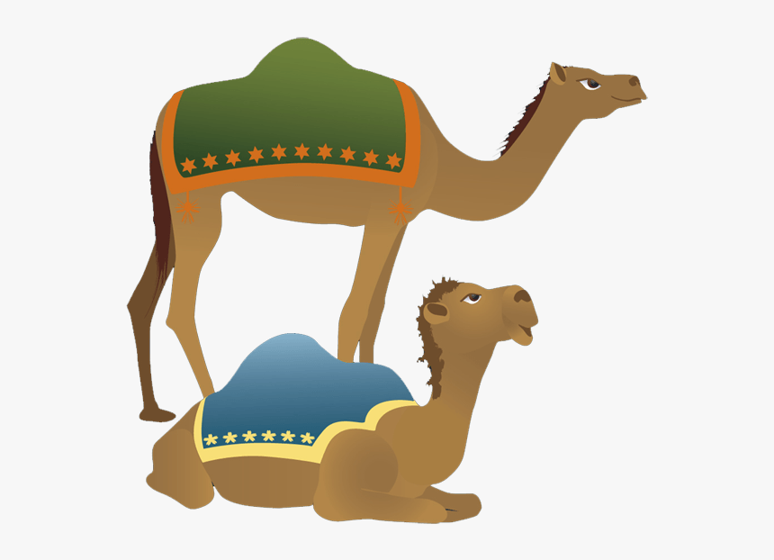 Camel Clipart Png - Clip Art, Transparent Png, Free Download