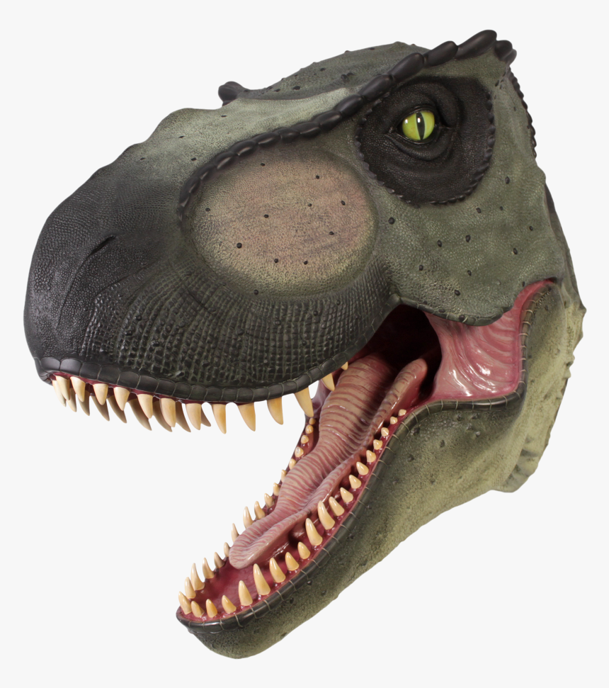 Cabeza T Rex A Tamaño Real - Trex Head Png, Transparent Png, Free Download