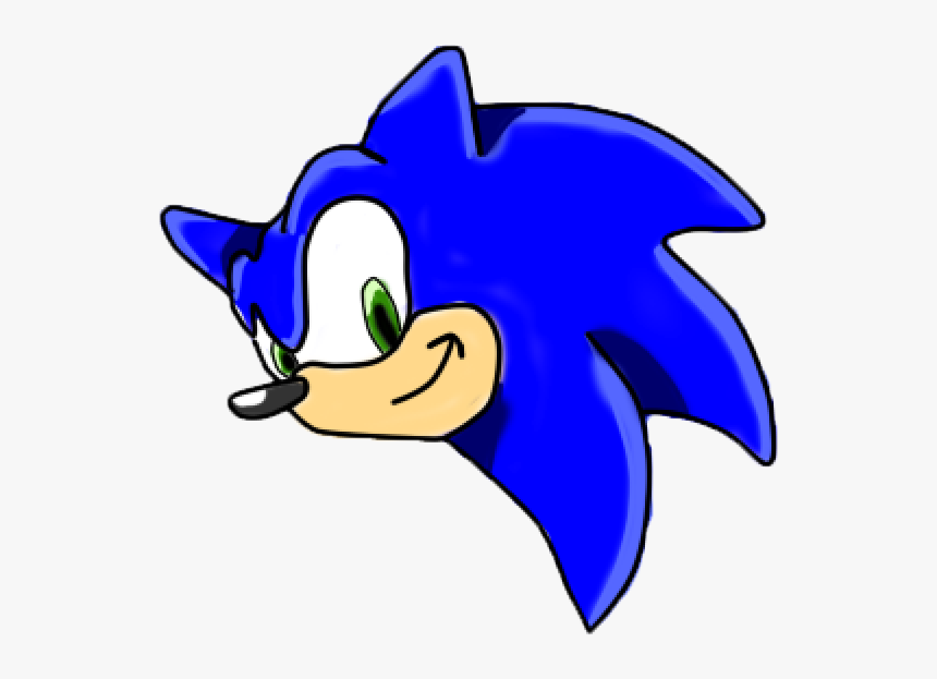 Sonic The Hedgehog Head, Www - Sonic Head Png, Transparent Png, Free Download