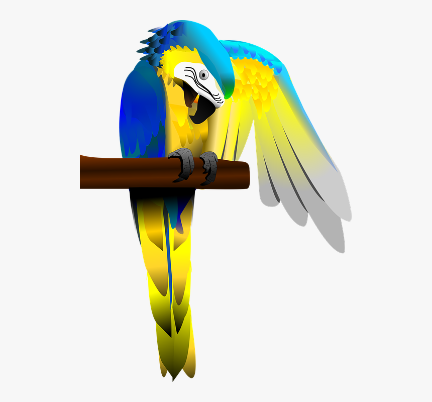 Blue And Gold Macaw, Parrot, Macaw, Bird, Colorful, HD Png Download, Free Download