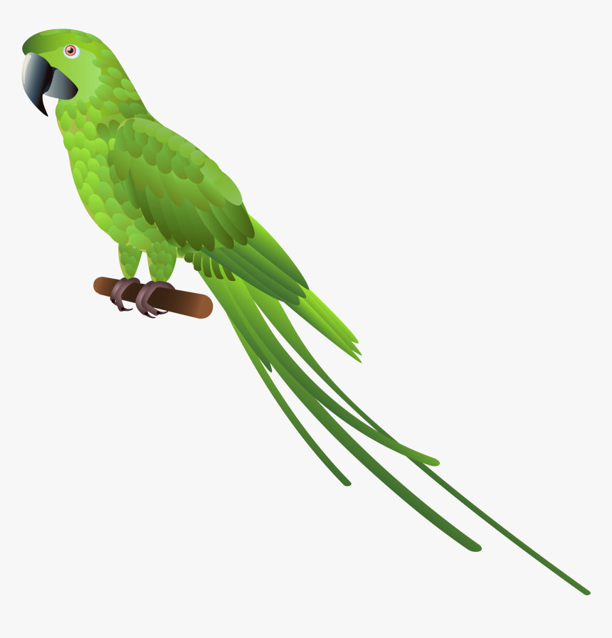 Green Parrot Png Clipart - Green Parrot Clip Art, Transparent Png, Free Download