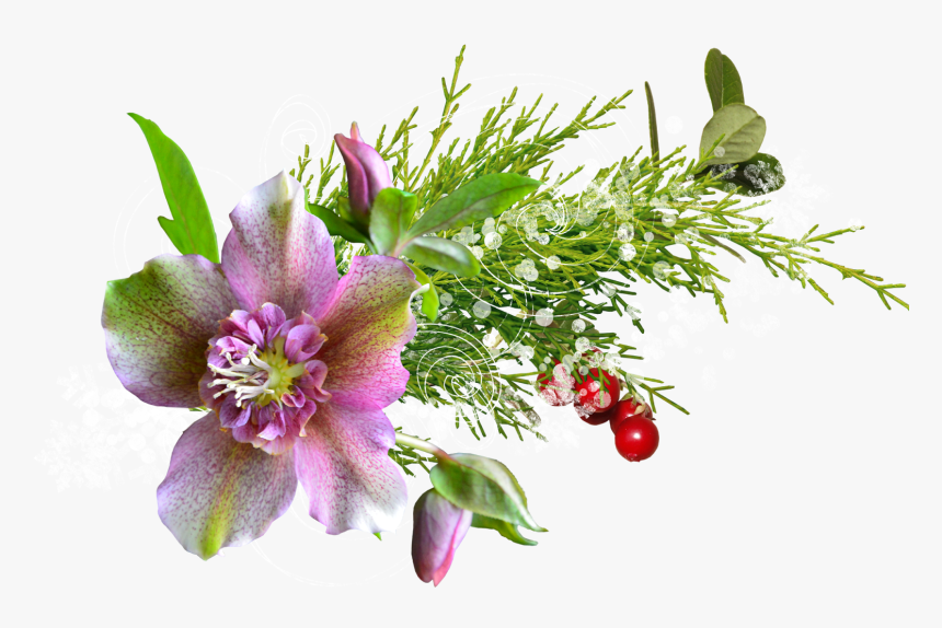 Transparent Flores Png Para Photoshop - Flower Tiff, Png Download, Free Download
