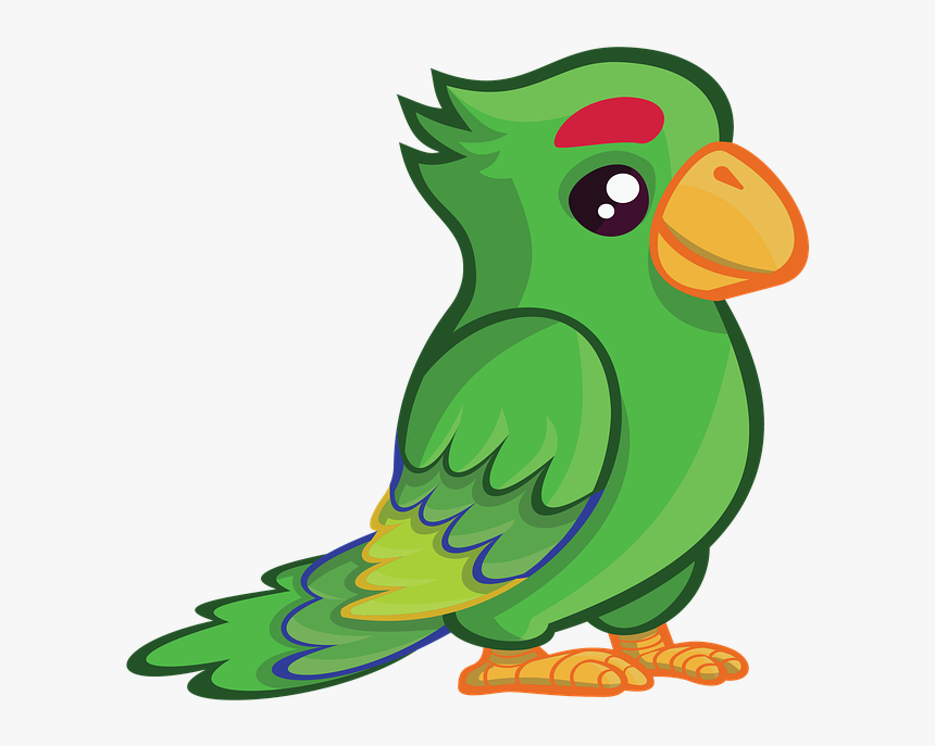 Bird, Parrots, Wildlife, Animal, Parrot, Green - Parakeet, HD Png Download, Free Download