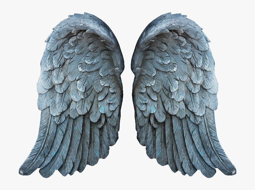 Feather Angel Wings Png, Transparent Png, Free Download