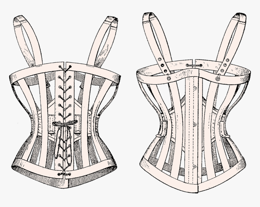 Picture - Skeleton Corset 1870, HD Png Download, Free Download