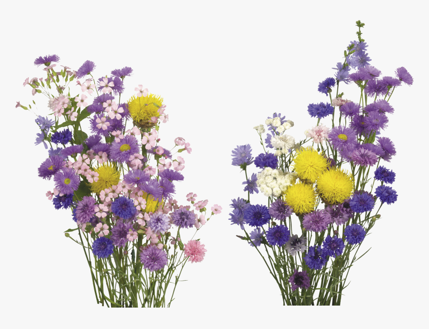 Free Flower Overlays, HD Png Download, Free Download