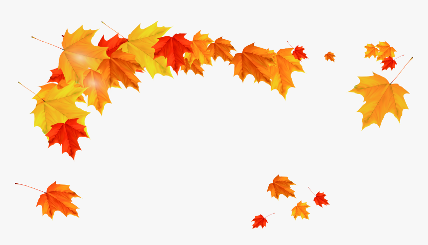 Maple Leaf Autumn - Fall Leaves Autumn Png, Transparent Png, Free Download