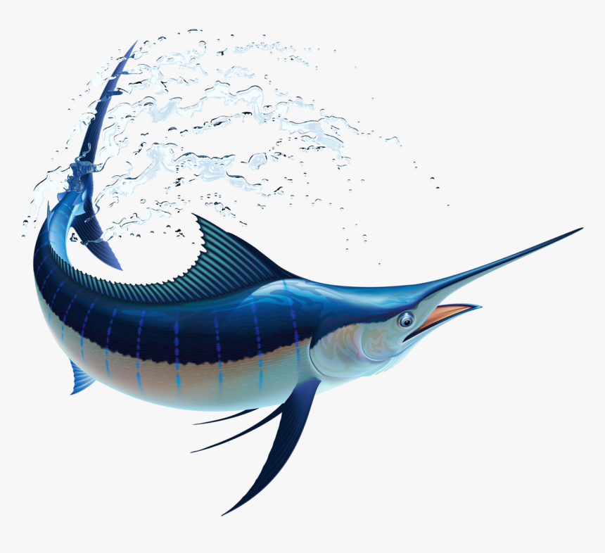 Blue Marlin Sailfish, HD Png Download, Free Download