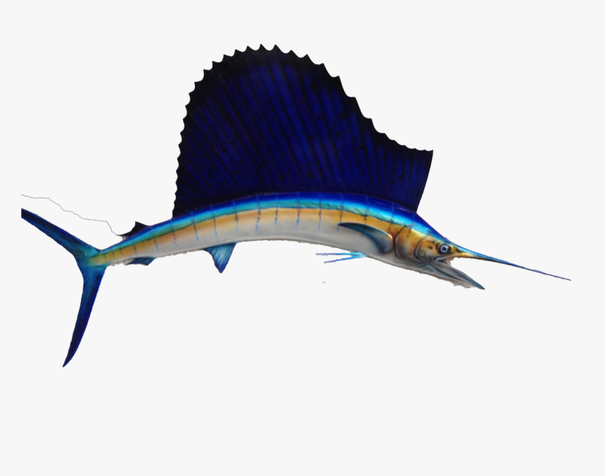 Atlantic Blue Marlin, HD Png Download, Free Download