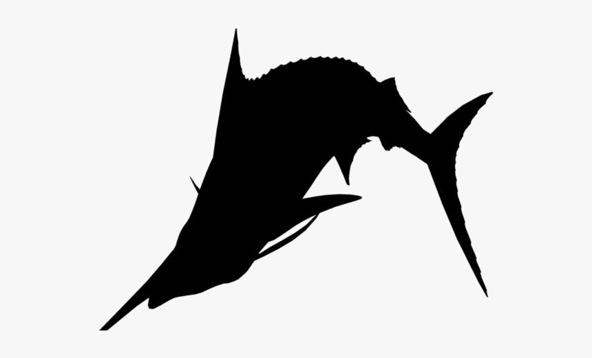 Sailfish Png Transparent Images - Portable Network Graphics, Png Download, Free Download