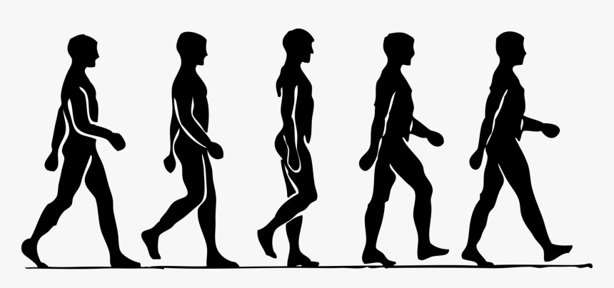 People, Walking, Silhouette, Black, Activity, Moving - Man Walking Animation, HD Png Download, Free Download