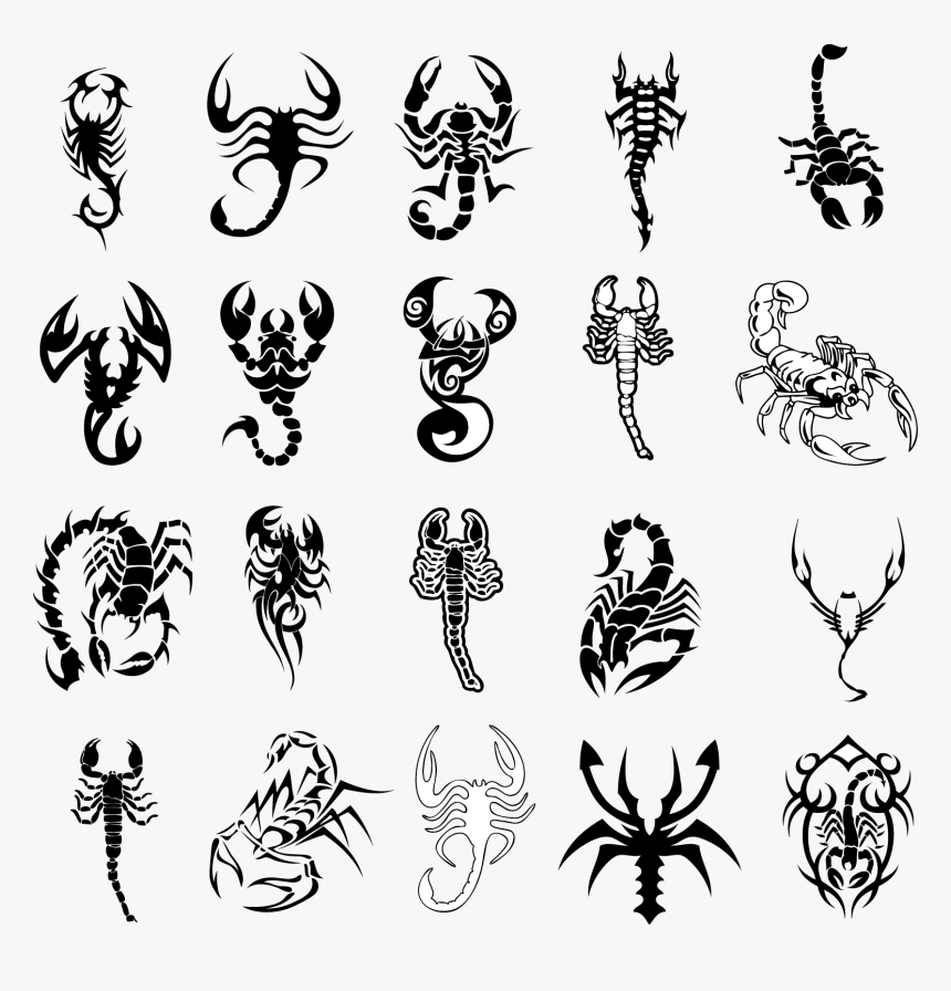 Scorpio Tattoos  Ideas for Scorpio Tattoo Designs