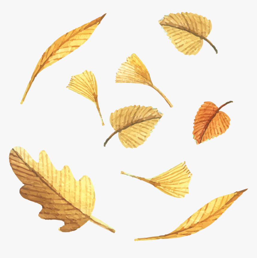 Clipart Leaf Yellow Birch - Autumn, HD Png Download, Free Download