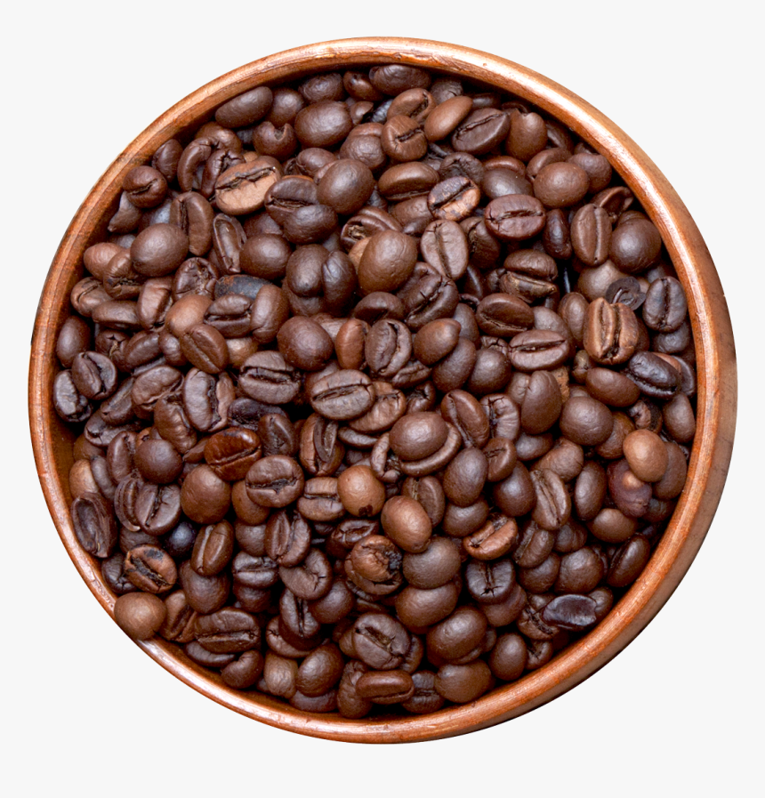 Coffee Beans - Coffee Bean, HD Png Download, Free Download