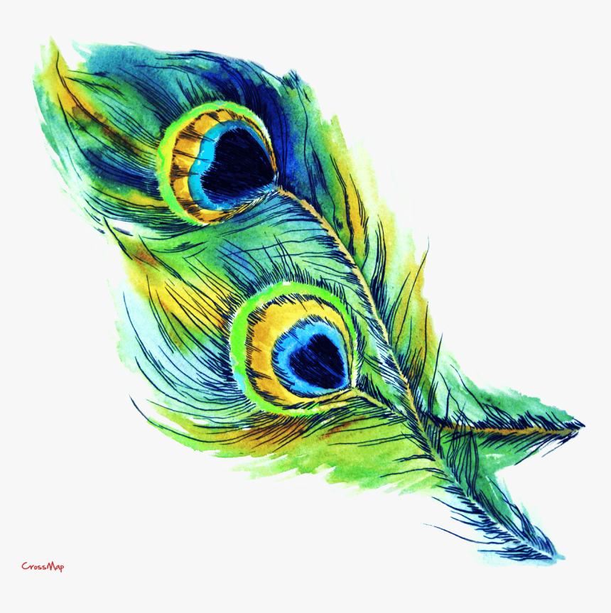 Eye Feather Christian Clip Art - Transparent Background Peacock Feather Clipart, HD Png Download, Free Download