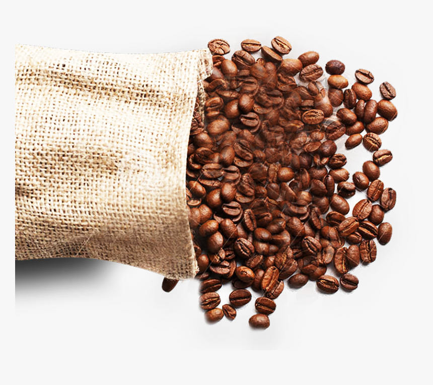 Kona Coffee, HD Png Download, Free Download