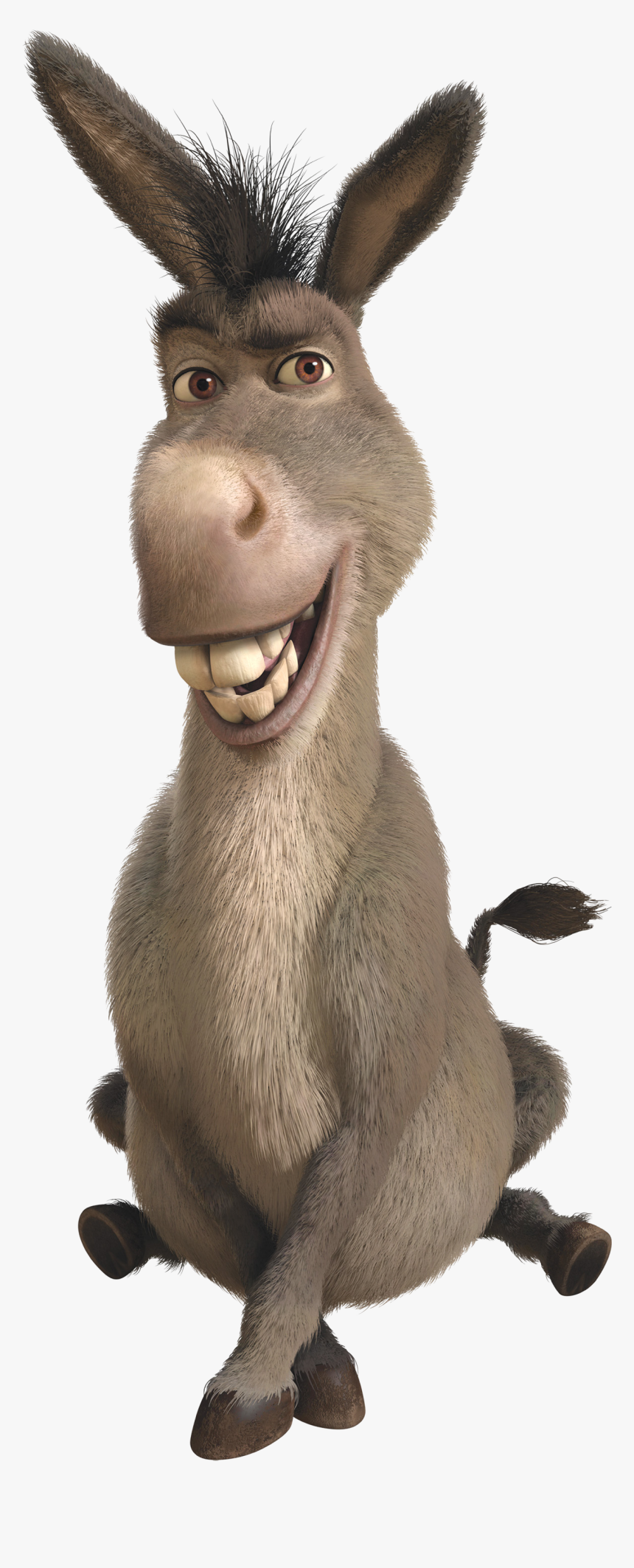 Donkey From Shrek, HD Png Download, Free Download