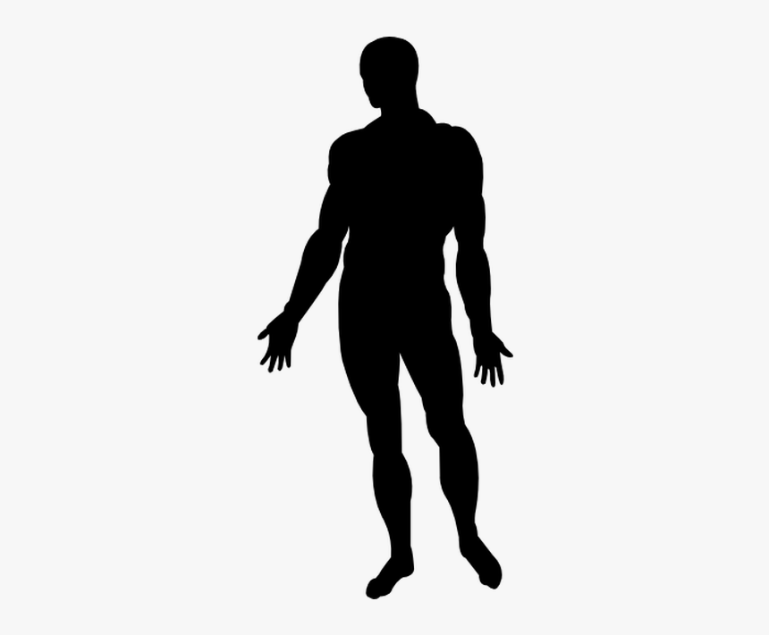 Human Body Silhouette Homo Sapiens Photography - Man Body Silhouette Png, Transparent Png, Free Download