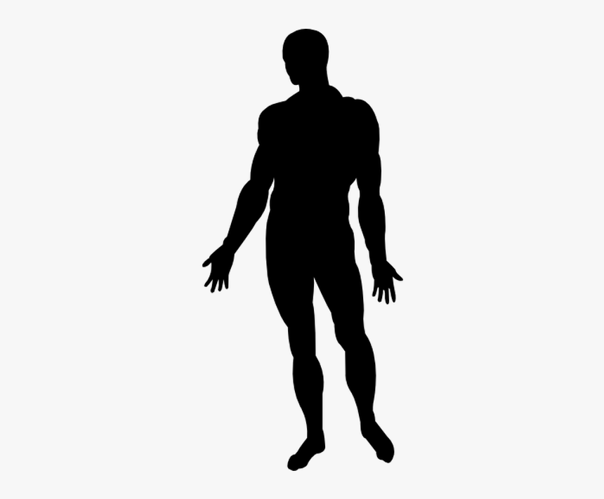 Human Body Silhouette Homo Sapiens Photography - Man Body Silhouette Png, T...