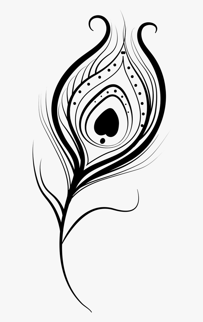 Feather Peacock Vector Isolated Png Image - Black Peacock Feather Png, Transparent Png, Free Download