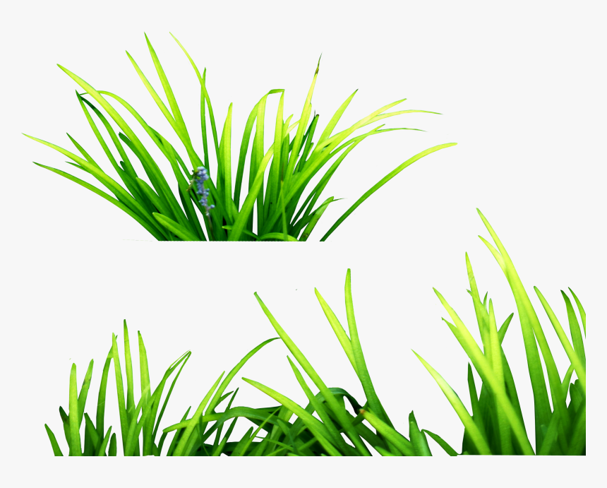 Photoshop Clipart Grass - Grass Png For Picsart, Transparent Png, Free Download