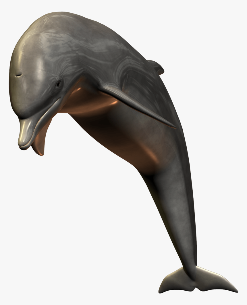 3d Dolphin Png - Dolphin 3d Png, Transparent Png, Free Download