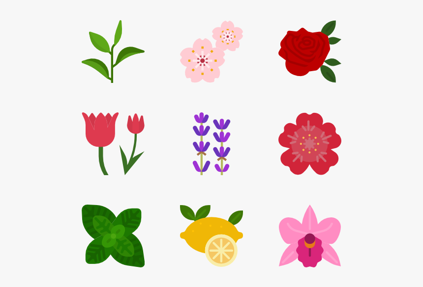 Natural Scent - Floribunda, HD Png Download, Free Download