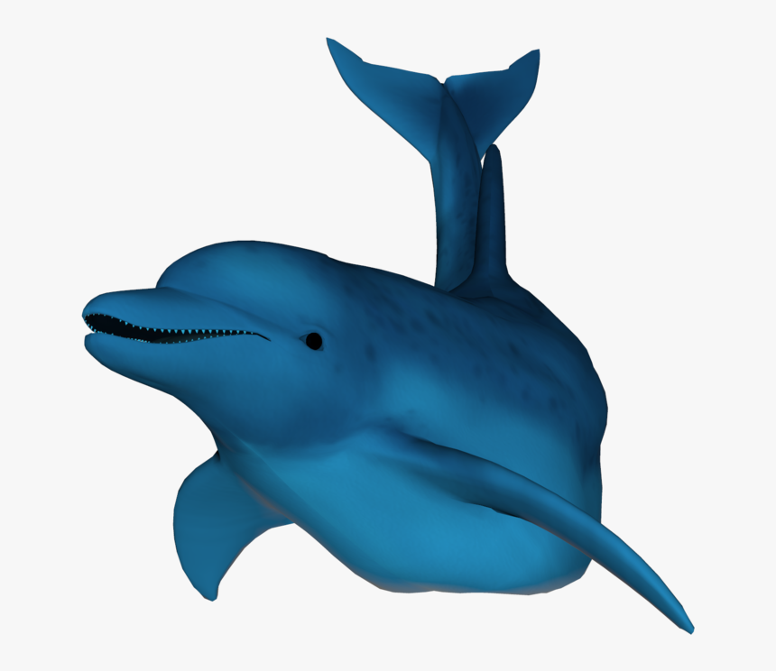 3d Dolphin Png , Png Download - Nin The Downward Spiral Meme, Transparent Png, Free Download