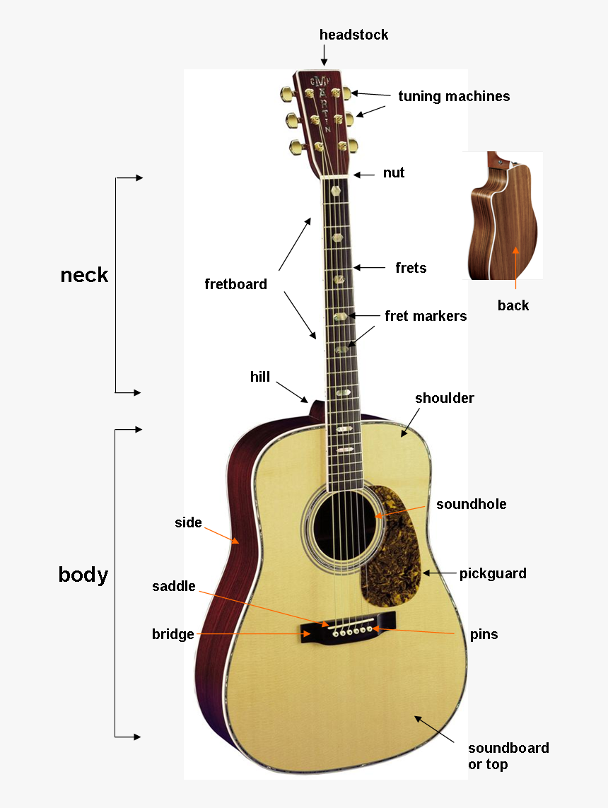 Guitar Headstock Png, Transparent Png, Free Download