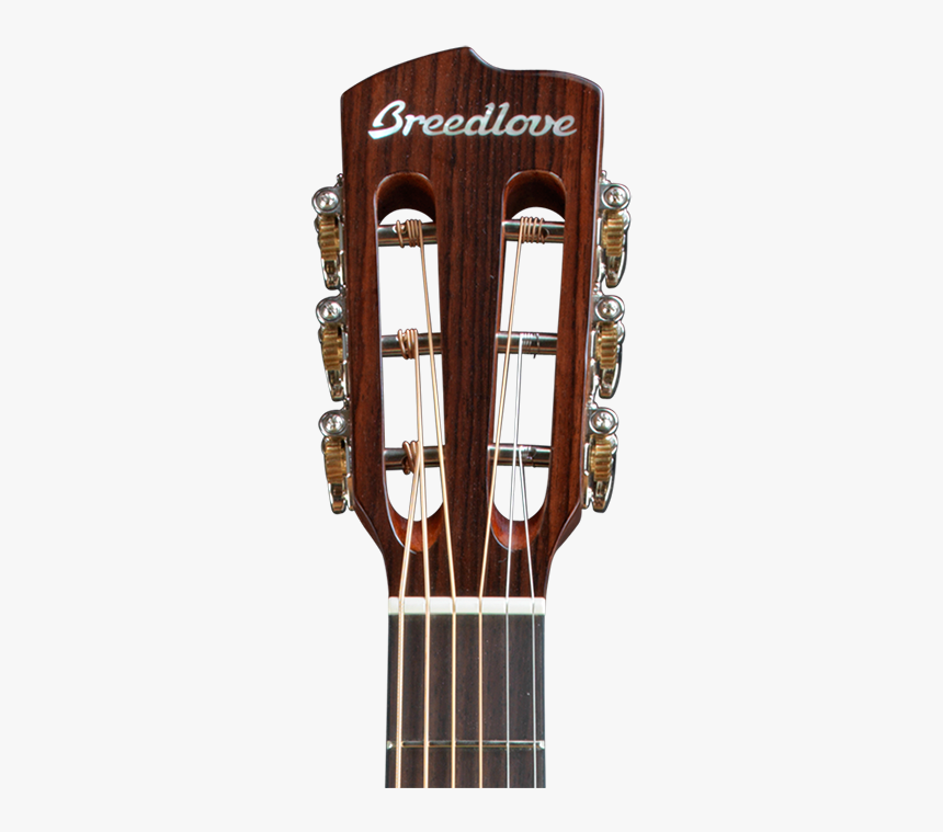 Guitar Headstock Png, Transparent Png, Free Download