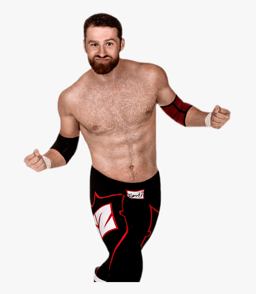 Sami Zayn Sami Zayn Returning To Nxt Former Wwe Champion, HD Png Download, Free Download