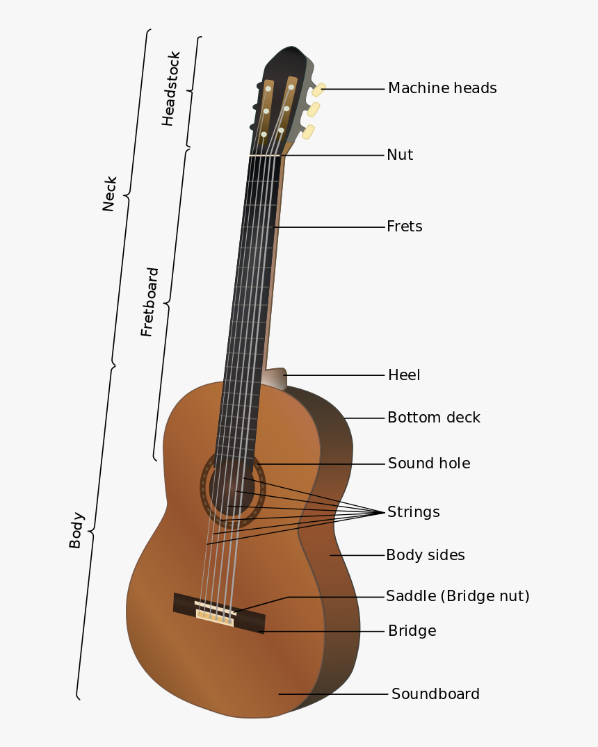 Acoustic Guitar Anatomy, HD Png Download, Free Download