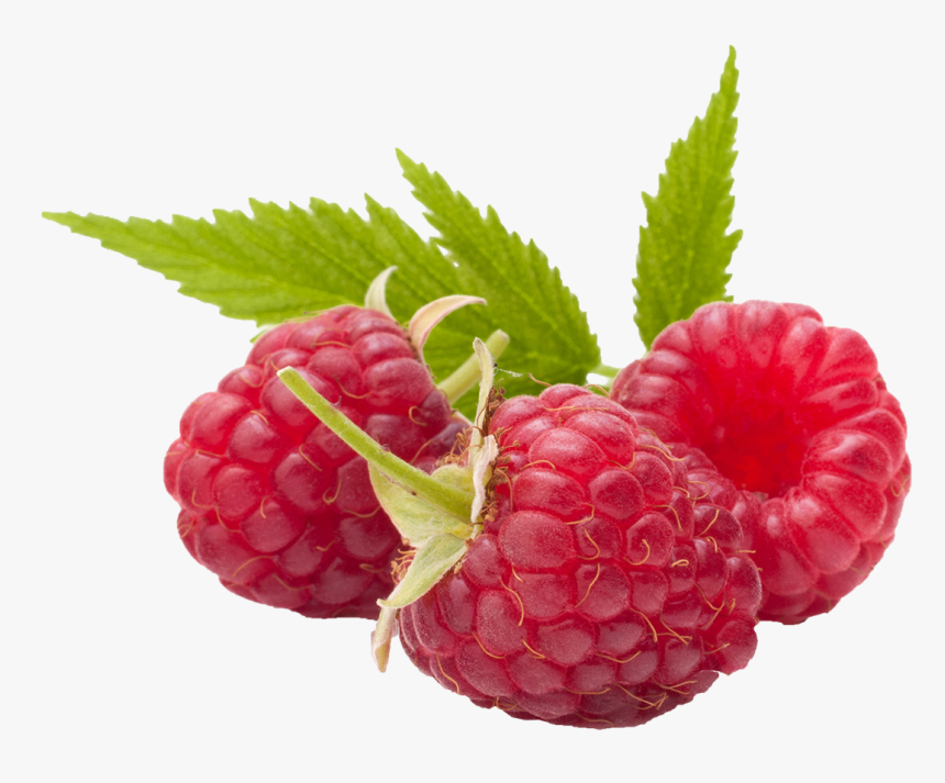 Raspberry Transparent Png Image, Png Download, Free Download