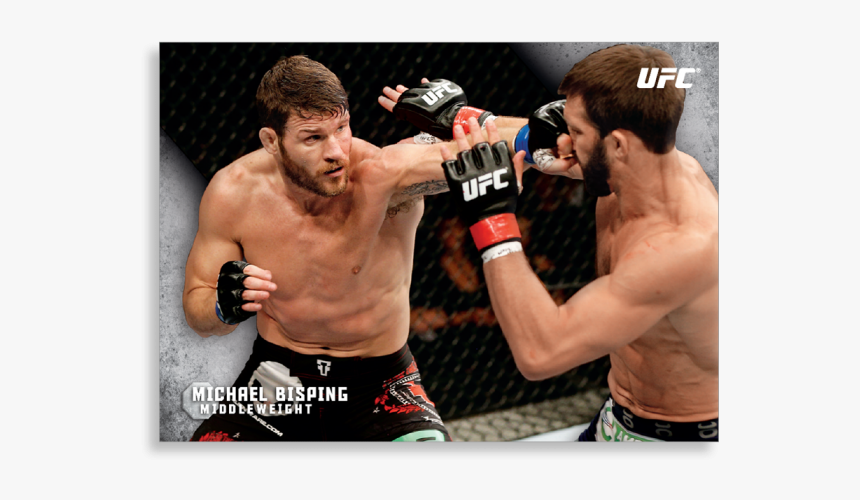 Michael Bisping Ufc Knockout Print, HD Png Download, Free Download