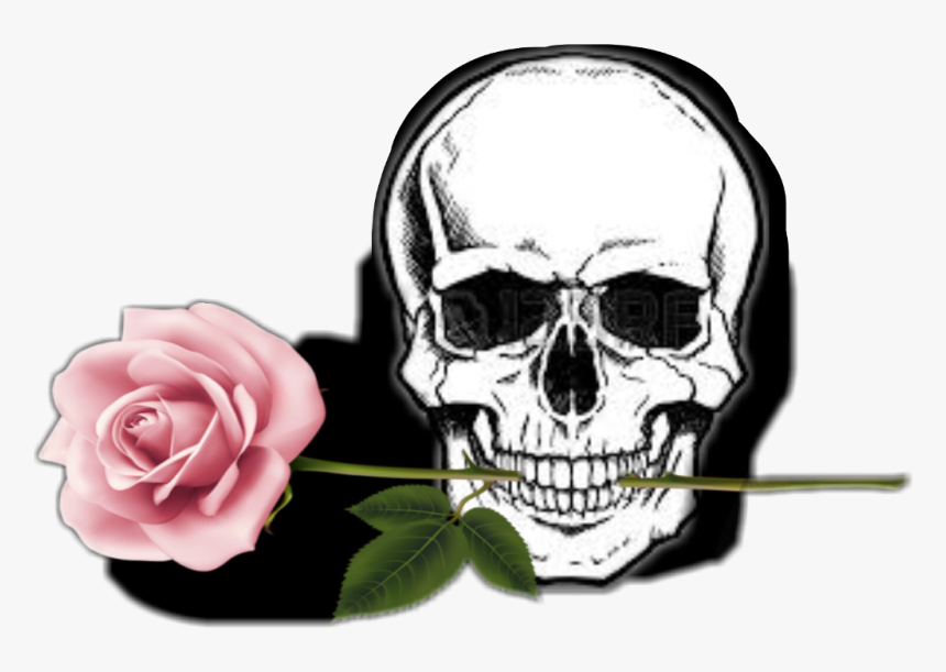 #rose #totenkopf #schädel, HD Png Download, Free Download