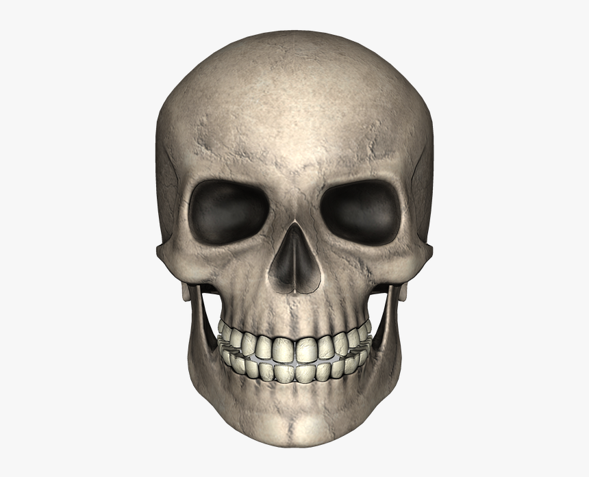 Totenschädel, Freigestellt, Totenkopf, Kopf, Unheimlich, HD Png Download, Free Download