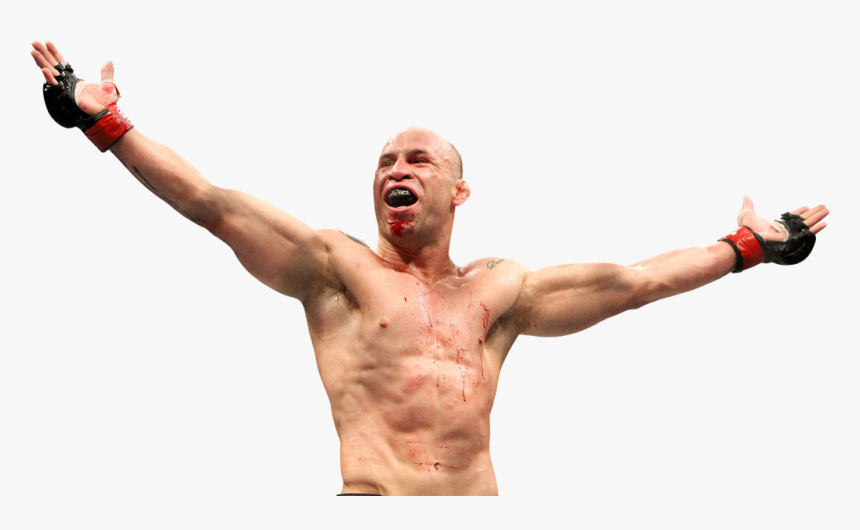 Wanderlei Silva Ufc 110, HD Png Download, Free Download