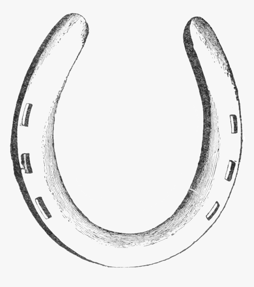 Horseshoe Drawing Ubisafe Pinterest Drawings Png Ubisafe - Drawings Of Horse Shoes, Transparent Png, Free Download