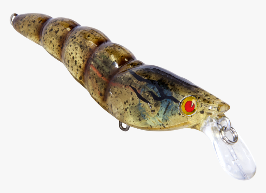 New Fishing Lures - Fish, HD Png Download, Free Download