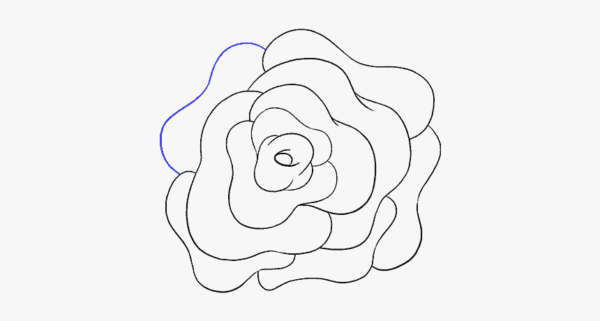 How To Draw A Rose Flower Easy Drawing Guides - Rose Flower Transparent Draw, HD Png Download, Free Download
